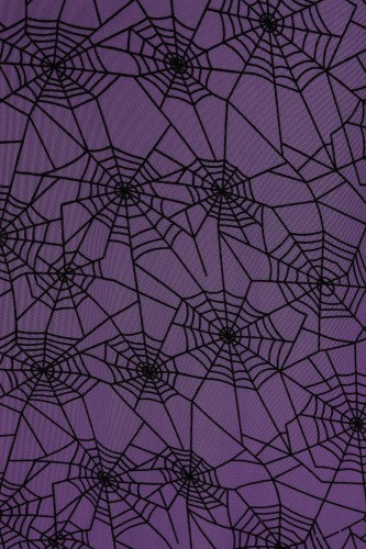 Seraphina Spiderweb Chiffon Skirt in Purple - Banned 2