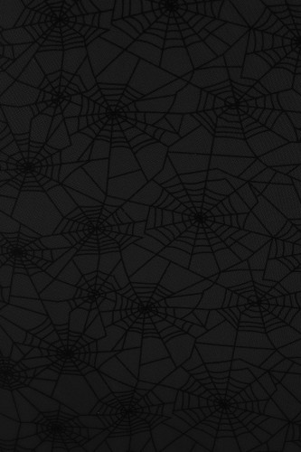 Seraphina Spiderweb Chiffon Skirt in Black - Banned 2