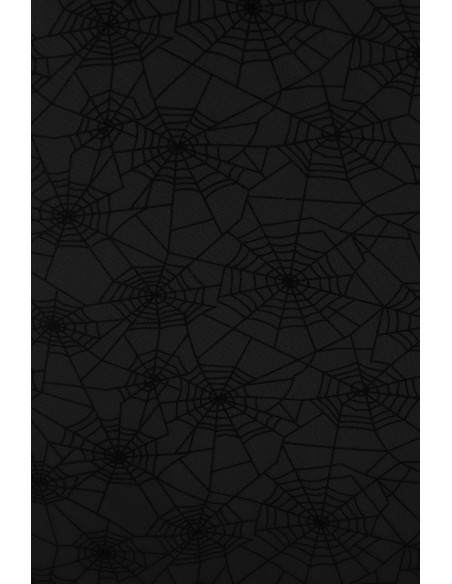 Seraphina Spiderweb Chiffon Skirt in Black - Banned