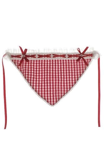 Red Gingham Kerchief 2