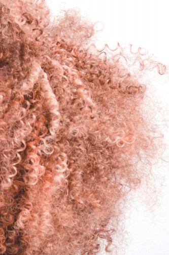 Herman's Amazing Hair Color - Rosie Gold 2