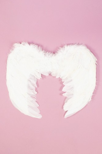 Angel Wings - White