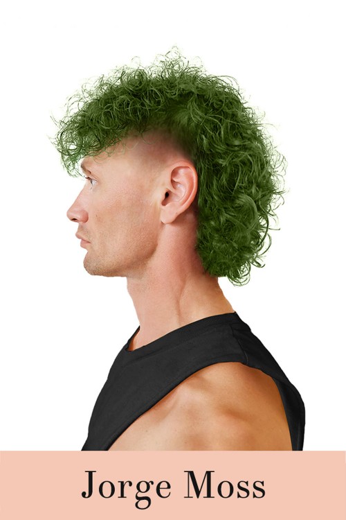 Herman's Amazing Hair Color - Jorge Moss